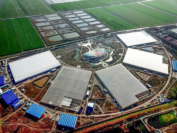 China Greenhouse