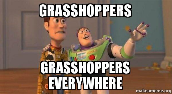 Grasshopper Meme